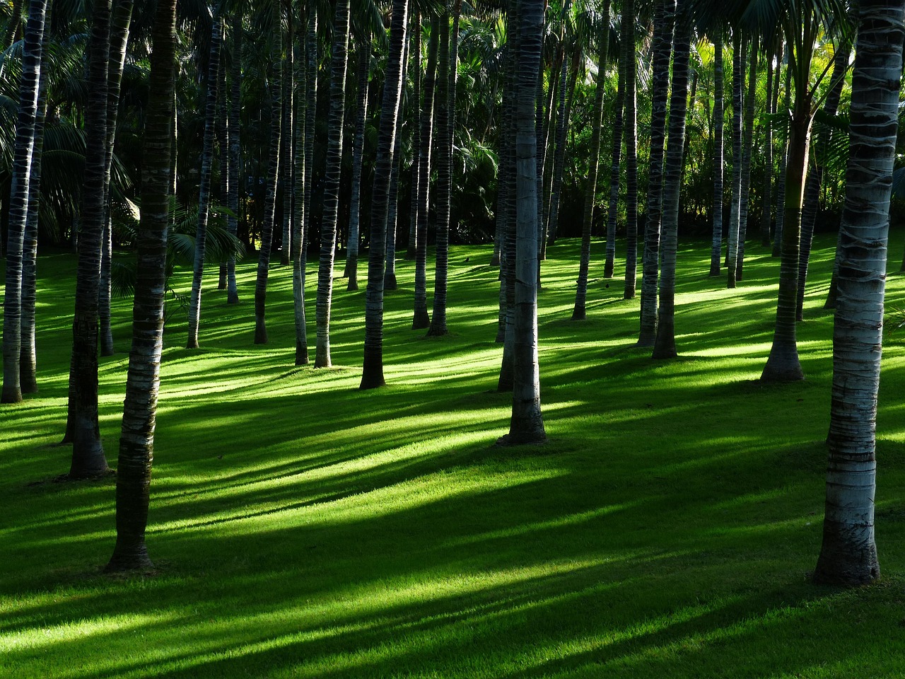 Zen hoek met regenvat en natuur Zen hoek met regenvat en natuur