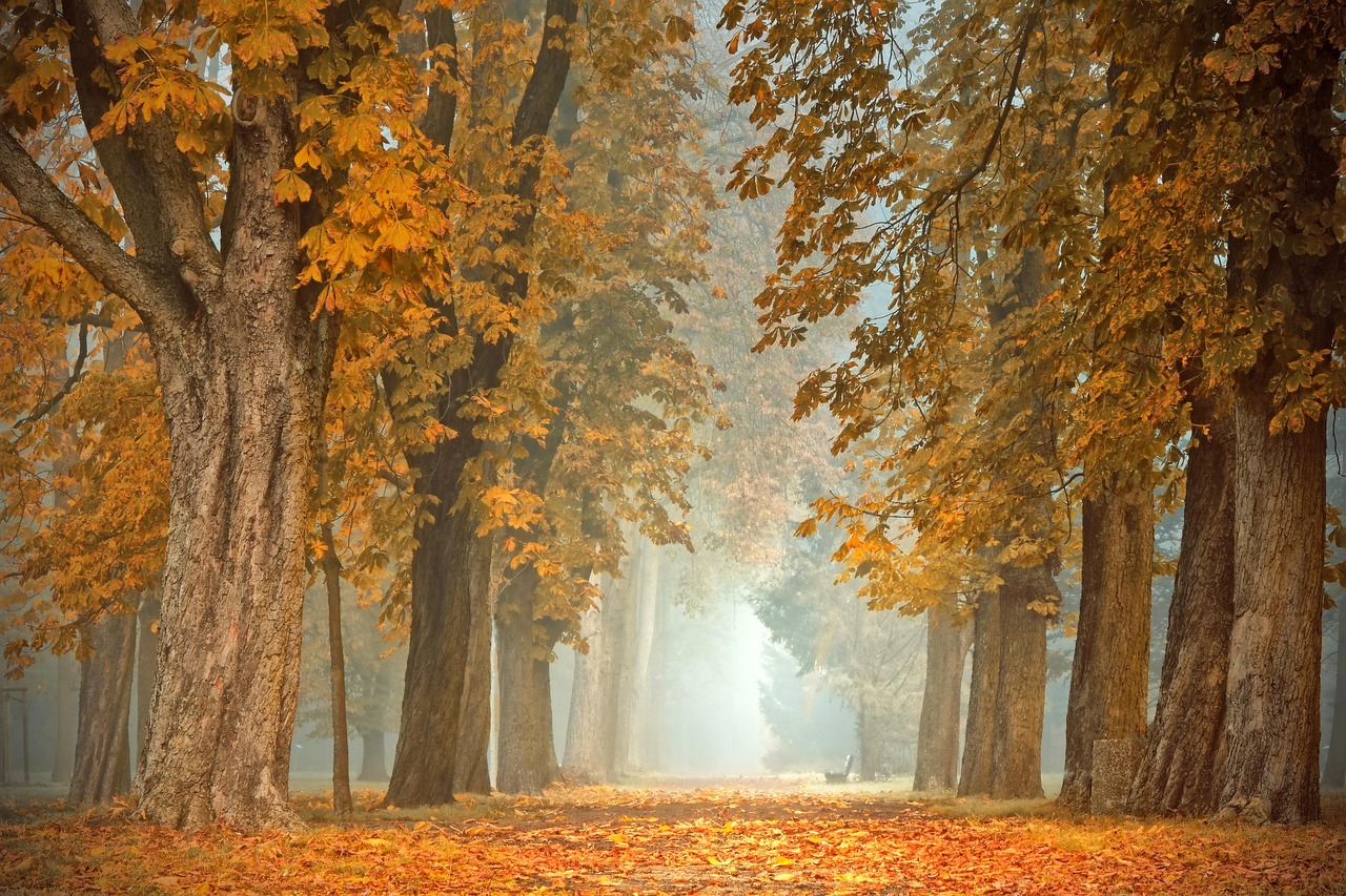 Sfeervolle tuinverlichting met led-lampen in herfst.