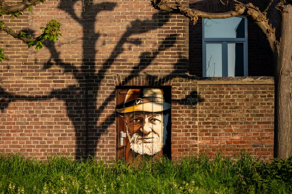 Toekan kunstwerk omringd door warme herfsttinten. Toekan kunstwerk omringd door warme herfsttinten.